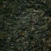 ヒメ日記 2025/10/11 03:50 投稿 タエ 人妻生レンタル