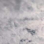 ヒメ日記 2025/10/13 12:20 投稿 タエ 人妻生レンタル