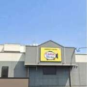 ヒメ日記 2025/10/13 17:33 投稿 タエ 人妻生レンタル