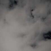 ヒメ日記 2025/10/16 05:00 投稿 タエ 人妻生レンタル