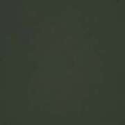 ヒメ日記 2025/10/25 20:21 投稿 タエ 人妻生レンタル