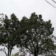 ヒメ日記 2025/10/26 17:30 投稿 タエ 人妻生レンタル