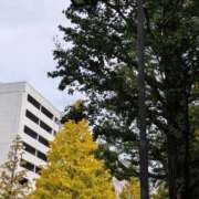 ヒメ日記 2025/11/02 12:25 投稿 タエ 人妻生レンタル