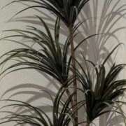 ヒメ日記 2025/11/04 00:00 投稿 タエ 人妻生レンタル