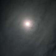 ヒメ日記 2025/11/13 05:24 投稿 タエ 人妻生レンタル