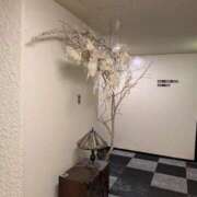 ヒメ日記 2025/11/18 02:20 投稿 タエ 人妻生レンタル