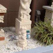 ヒメ日記 2025/11/23 14:30 投稿 タエ 人妻生レンタル