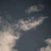 ヒメ日記 2025/11/26 19:20 投稿 タエ 人妻生レンタル