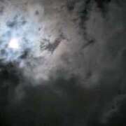 ヒメ日記 2025/12/03 20:13 投稿 タエ 人妻生レンタル