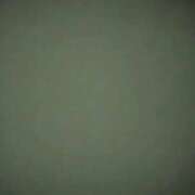 ヒメ日記 2025/12/04 20:20 投稿 タエ 人妻生レンタル