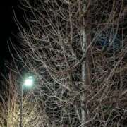 ヒメ日記 2025/12/12 21:20 投稿 タエ 人妻生レンタル