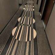 ヒメ日記 2025/12/23 00:20 投稿 タエ 人妻生レンタル