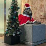 ヒメ日記 2025/12/24 18:50 投稿 タエ 人妻生レンタル