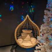 ヒメ日記 2025/12/26 21:50 投稿 タエ 人妻生レンタル