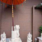 ヒメ日記 2026/01/02 14:50 投稿 タエ 人妻生レンタル