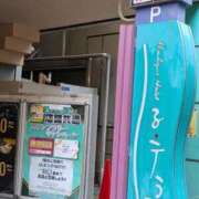 ヒメ日記 2026/01/04 14:20 投稿 タエ 人妻生レンタル