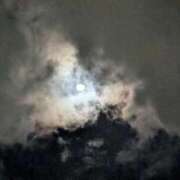 ヒメ日記 2026/01/08 01:40 投稿 タエ 人妻生レンタル