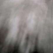 ヒメ日記 2026/01/12 00:40 投稿 タエ 人妻生レンタル