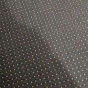 ヒメ日記 2026/01/12 23:50 投稿 タエ 人妻生レンタル