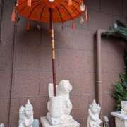 ヒメ日記 2026/02/08 17:50 投稿 タエ 人妻生レンタル