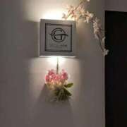 ヒメ日記 2026/02/25 01:43 投稿 タエ 人妻生レンタル