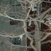 ヒメ日記 2026/03/21 22:40 投稿 タエ 人妻生レンタル