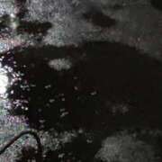 ヒメ日記 2026/04/01 21:20 投稿 タエ 人妻生レンタル