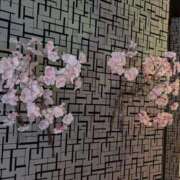 ヒメ日記 2026/04/02 16:40 投稿 タエ 人妻生レンタル