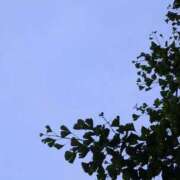 ヒメ日記 2026/05/20 05:00 投稿 タエ 人妻生レンタル