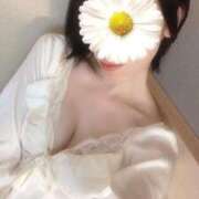 ヒメ日記 2026/01/26 15:50 投稿 キョウコ(極) 人妻生レンタル