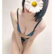 ヒメ日記 2026/02/15 08:50 投稿 キョウコ(極) 人妻生レンタル