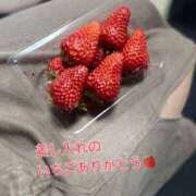 ヒメ日記 2025/04/13 19:30 投稿 イナホ 人妻生レンタル