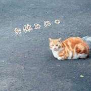 ヒメ日記 2025/05/01 00:50 投稿 イナホ 人妻生レンタル