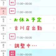 ヒメ日記 2025/05/03 19:58 投稿 イナホ 人妻生レンタル