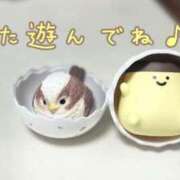 ヒメ日記 2025/06/12 01:50 投稿 イナホ 人妻生レンタル