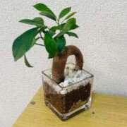 ヒメ日記 2025/06/20 12:50 投稿 イナホ 人妻生レンタル