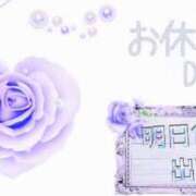 ヒメ日記 2025/08/29 01:20 投稿 イナホ 人妻生レンタル