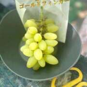 ヒメ日記 2025/09/22 21:20 投稿 イナホ 人妻生レンタル