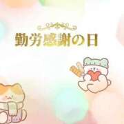 ヒメ日記 2025/11/23 14:20 投稿 イナホ 人妻生レンタル