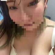 ヒメ日記 2026/02/19 16:14 投稿 イナホ 人妻生レンタル