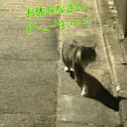 ヒメ日記 2026/08/21 00:10 投稿 イナホ 人妻生レンタルNTR