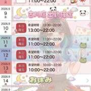 ヒメ日記 2026/09/05 12:20 投稿 イナホ 人妻生レンタルNTR