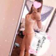 ヒメ日記 2025/03/15 15:04 投稿 ナナセ ファーストレディー