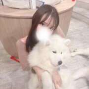 ヒメ日記 2025/03/13 05:50 投稿 あんこ 浜松ハンパじゃない学園