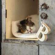 ヒメ日記 2025/08/08 22:21 投稿 くるみ 新感覚恋活ソープもしも彼女が○○だったら・・・福岡中州本店