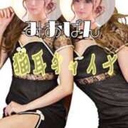 ヒメ日記 2025/04/08 14:01 投稿 みおぱん ニューハーフヘルスLIBE 東京新宿