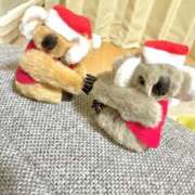 ヒメ日記 2025/11/16 01:16 投稿 るな Lady Agent