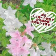 ヒメ日記 2025/04/24 14:50 投稿 あきほ SPIN(スピン)