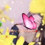 ヒメ日記 2025/09/19 00:20 投稿 あきほ SPIN(スピン)