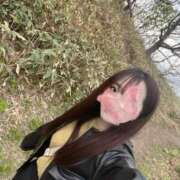 ヒメ日記 2025/03/22 12:16 投稿 みか アロー